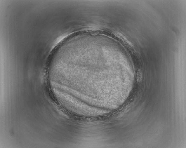 X0000115021208200911161438