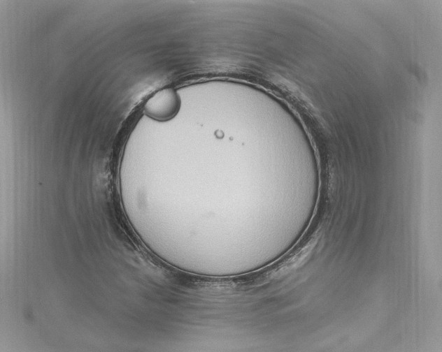 X0000115021210200911161438