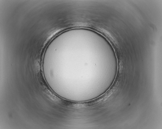 X0000115021212200911161438