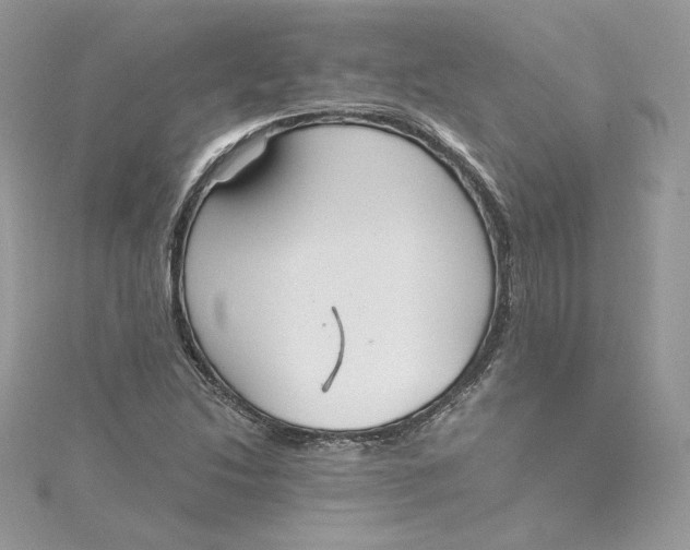 X0000115021214200911161438