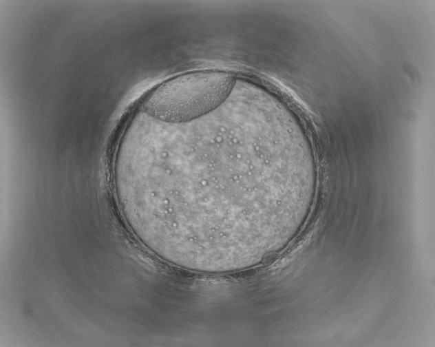 X0000115021215200911161438