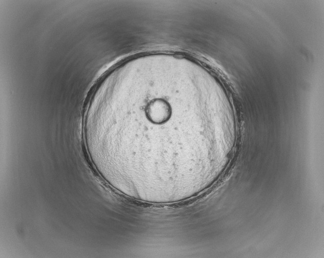 X0000115021220200911161438