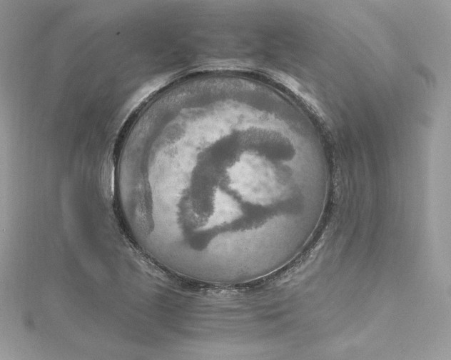 X0000115021221200911161438