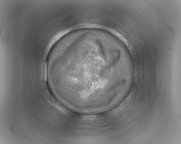 X0000115021223200911161438