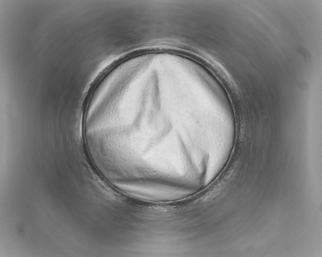 X0000115021224200911161438