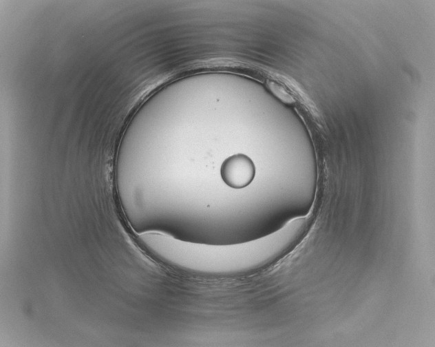 X0000115021225200911161438