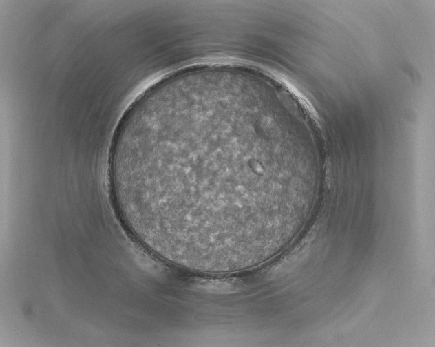 X0000115021229200911161438