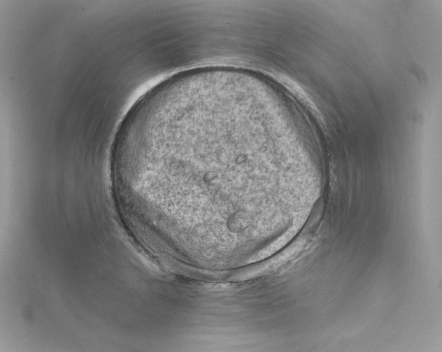 X0000115021230200911161438