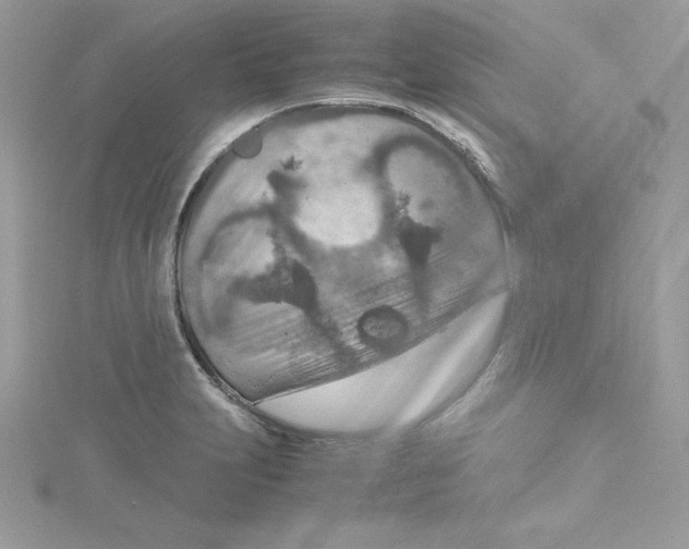 X0000115021231200911161438