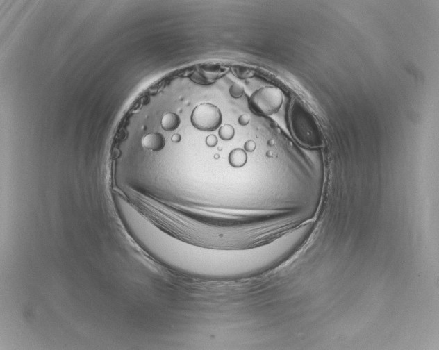 X0000115021232200911161438