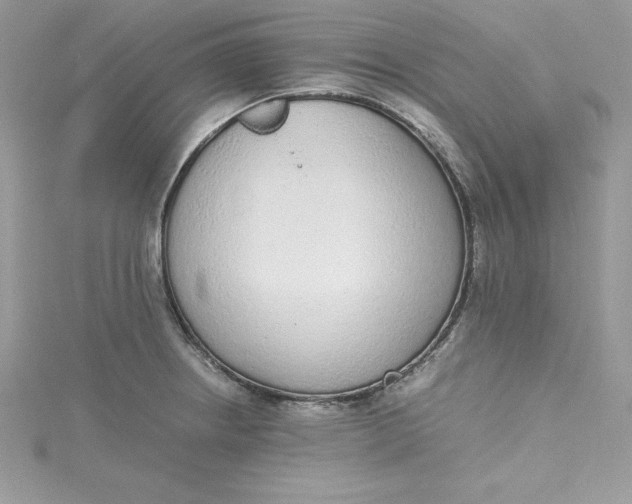 X0000115021234200911161438