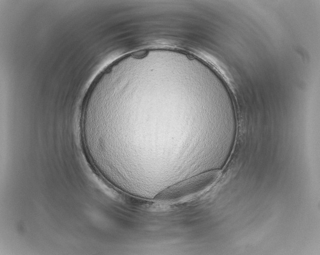 X0000115021235200911161438