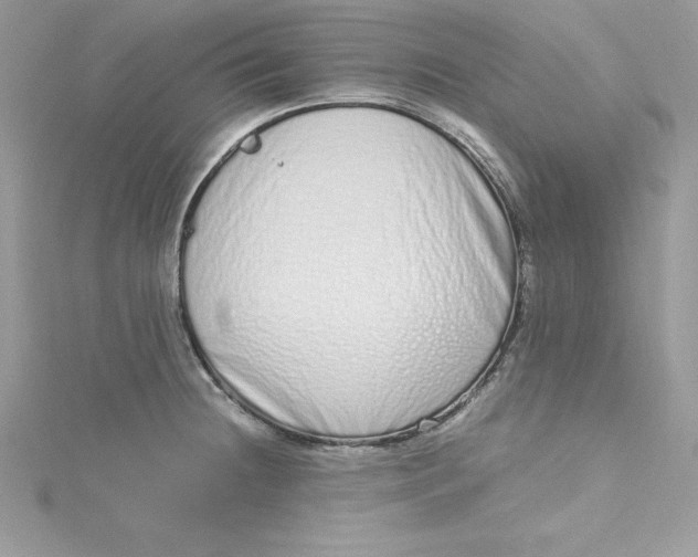 X0000115021236200911161438