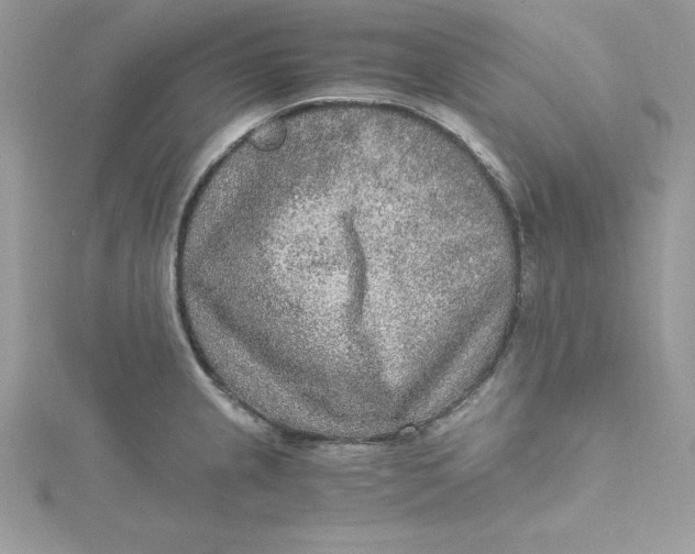 X0000115021237200911161438