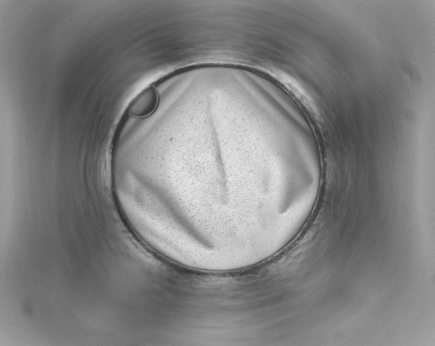 X0000115021238200911161438