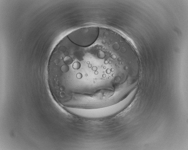 X0000115021239200911161439