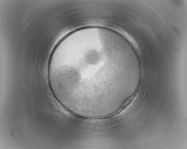 X0000115021240200911161439