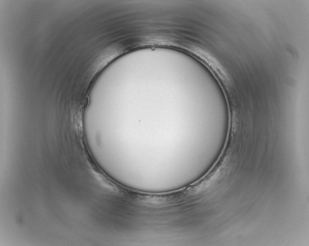 X0000115021241200911161439