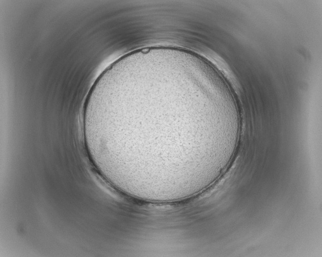 X0000115021242200911161439