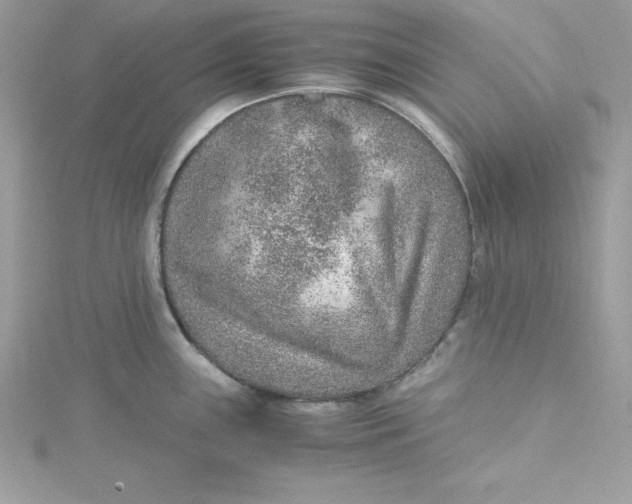 X0000115021243200911161439