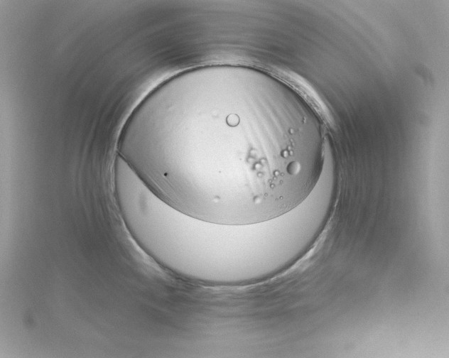 X0000115021244200911161439