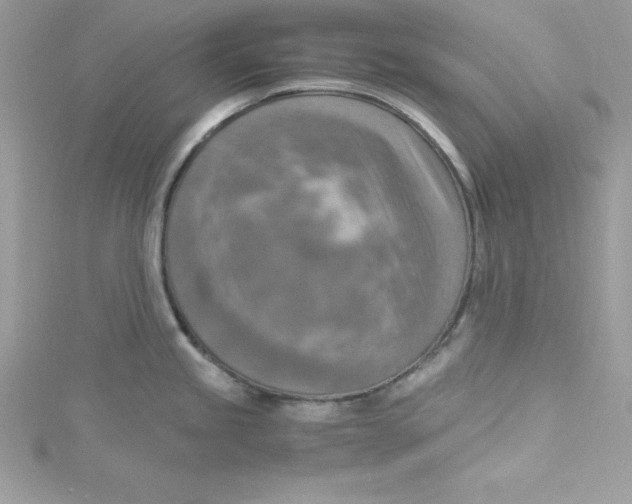 X0000115021245200911161439