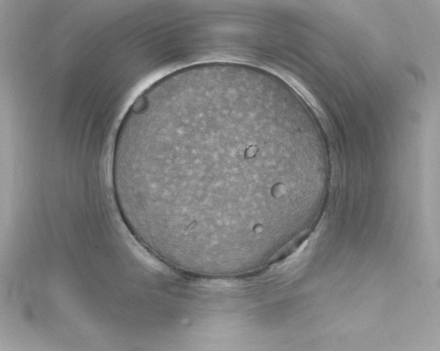 X0000115021246200911161439