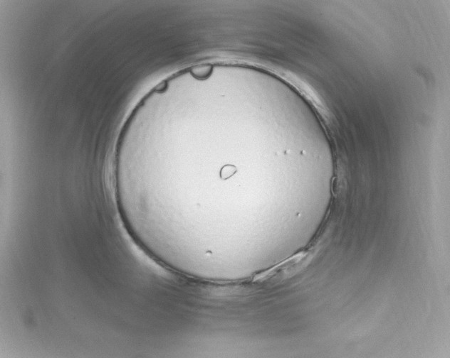 X0000115021247200911161439