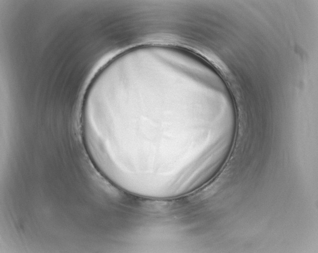 X0000115021248200911161439