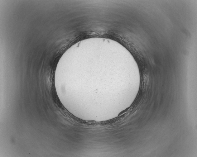 X0000115021250200911161438