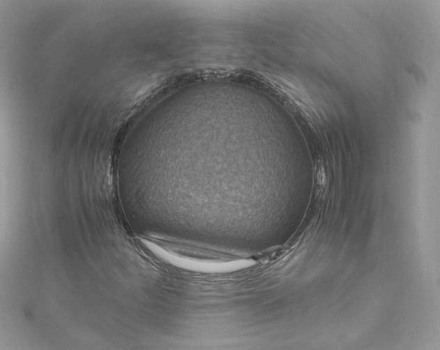 X0000115021252200911161438