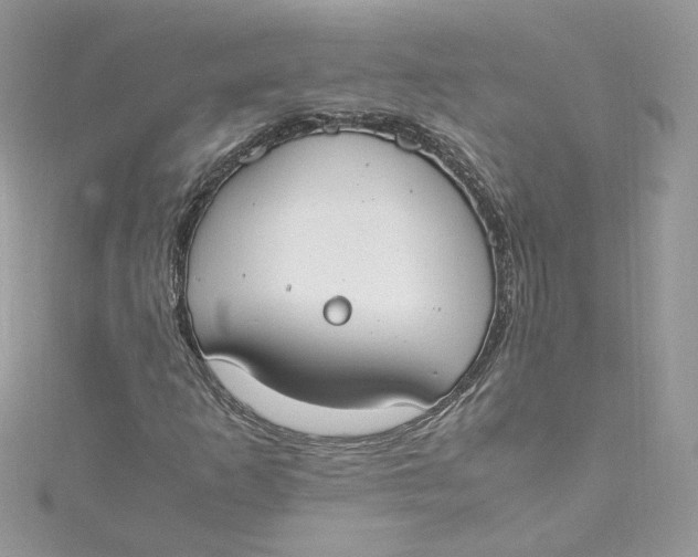 X0000115021253200911161438