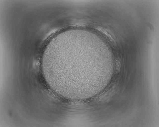 X0000115021254200911161438