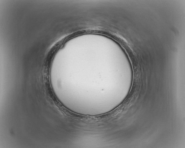 X0000115021255200911161438