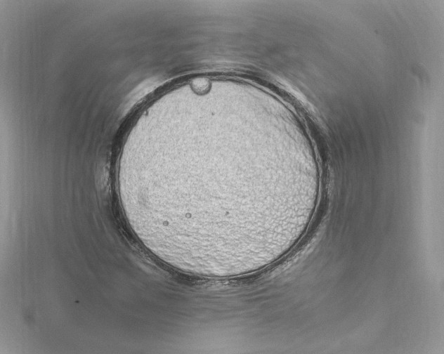 X0000115021259200911161438