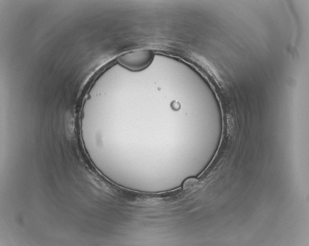 X0000115021260200911161438