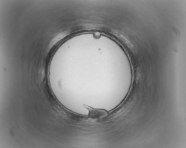 X0000115021261200911161438