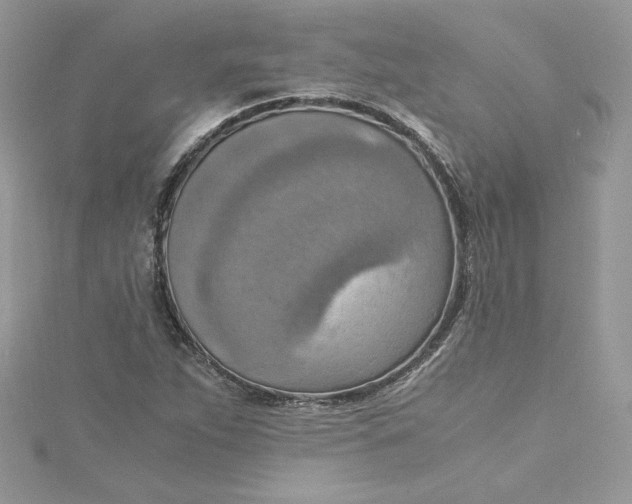 X0000115021263200911161438