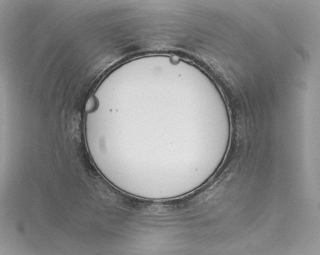 X0000115021265200911161438