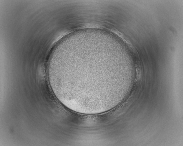 X0000115021266200911161438