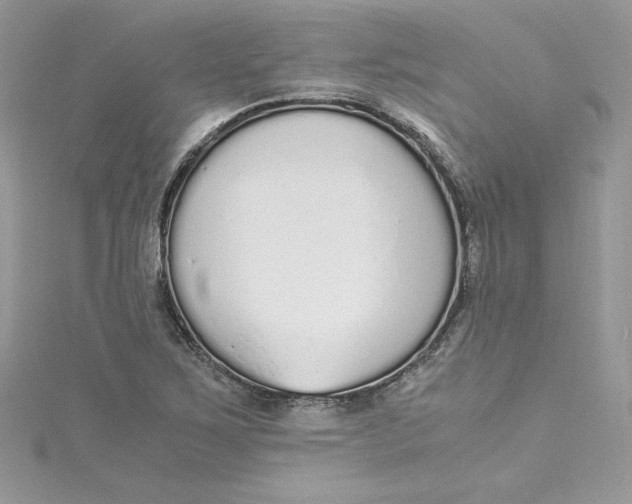 X0000115021267200911161438