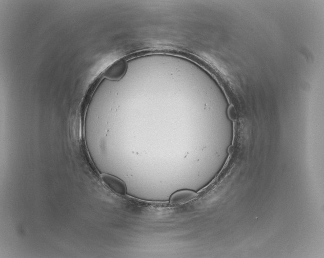 X0000115021269200911161438