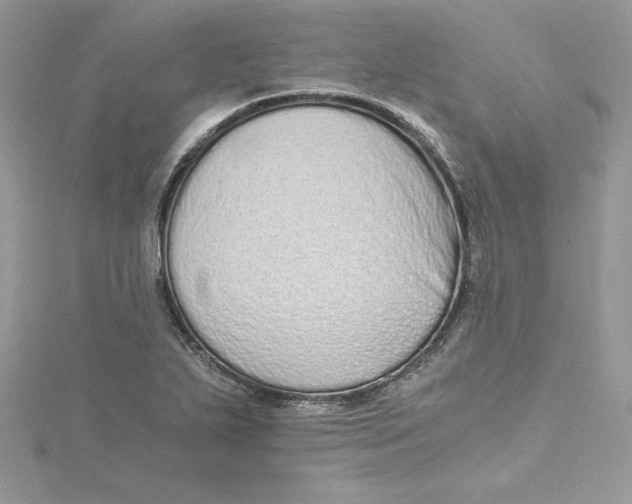 X0000115021271200911161438