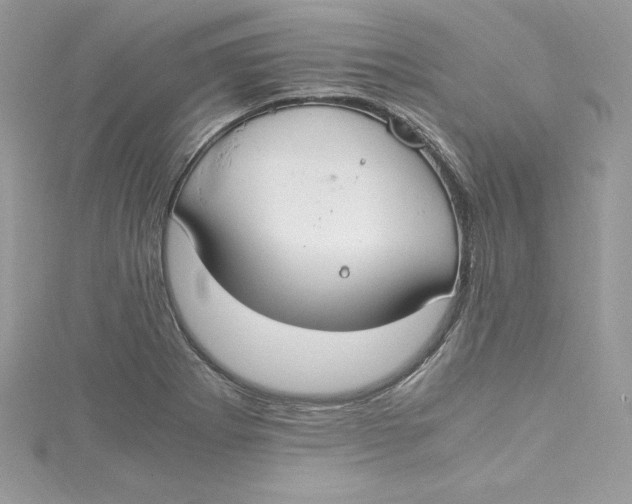 X0000115021273200911161438