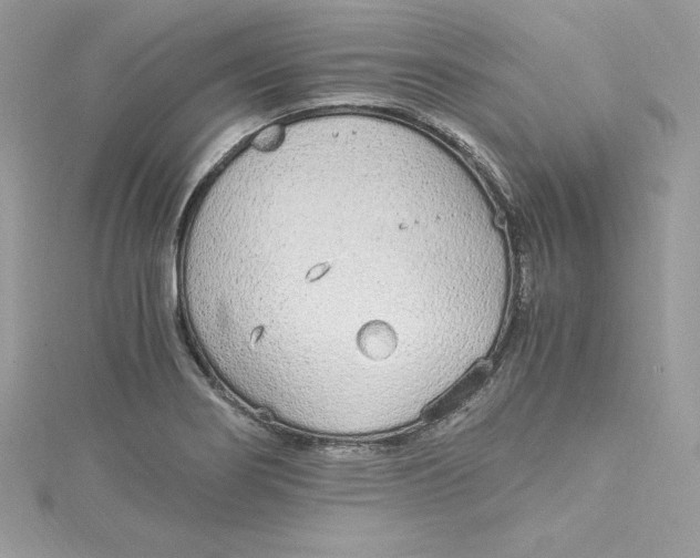 X0000115021274200911161438