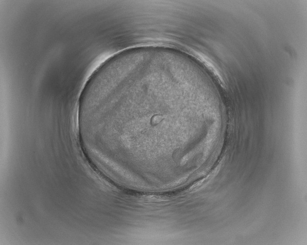 X0000115021275200911161438