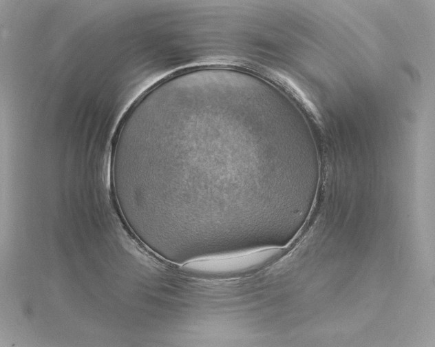 X0000115021276200911161438