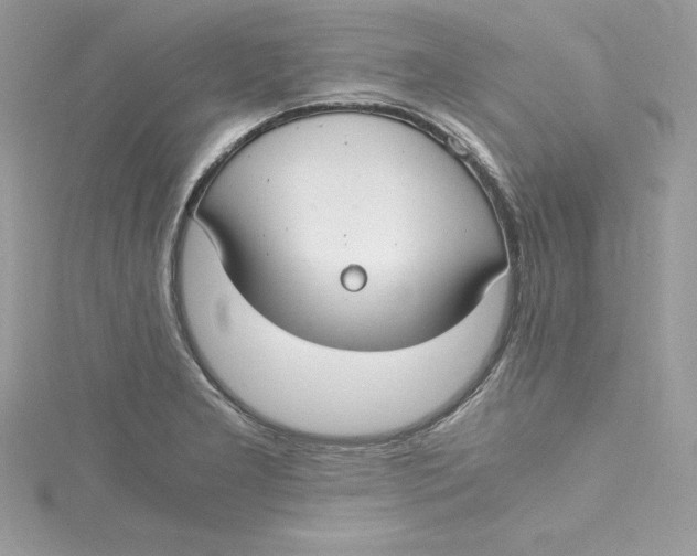 X0000115021277200911161438