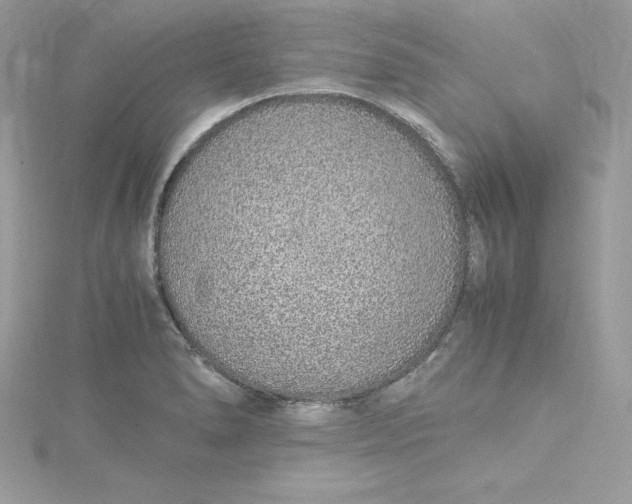 X0000115021278200911161438