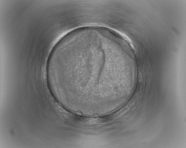 X0000115021279200911161438